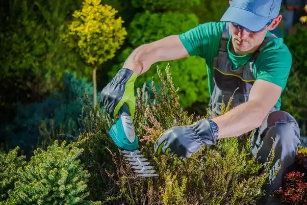 landscaping services Lakeshore